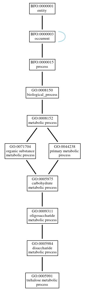 Graph of GO:0005991