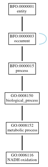 Graph of GO:0006116