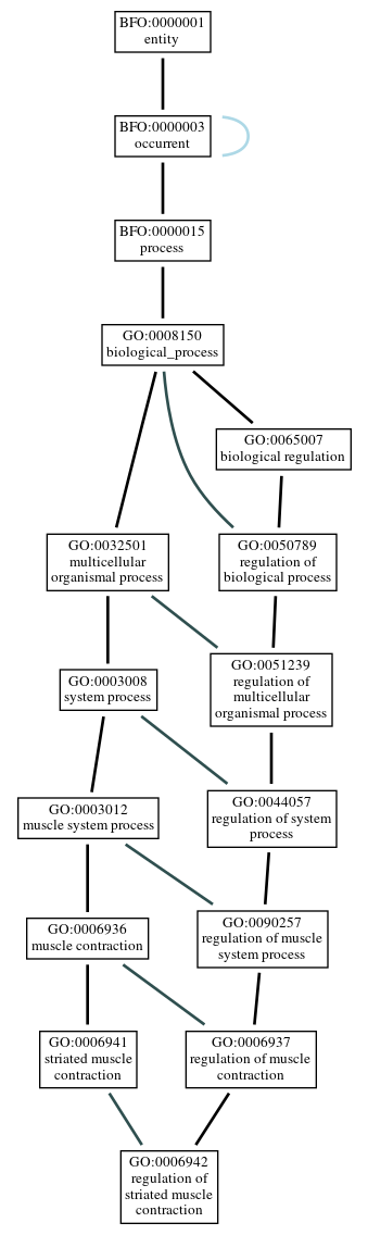 Graph of GO:0006942