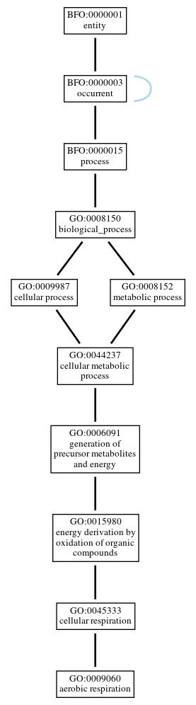 Graph of GO:0009060