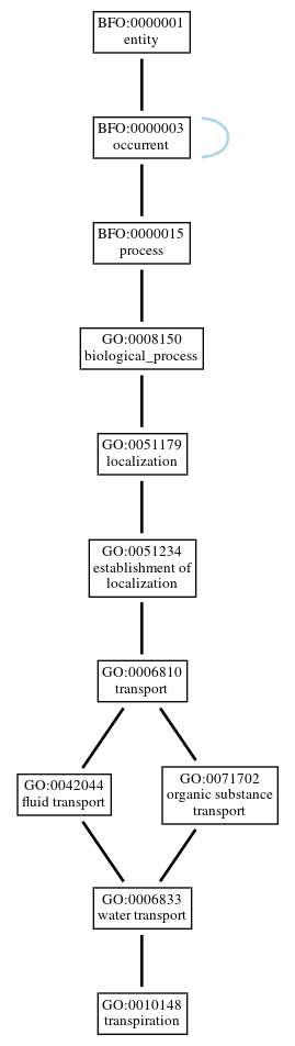 Graph of GO:0010148