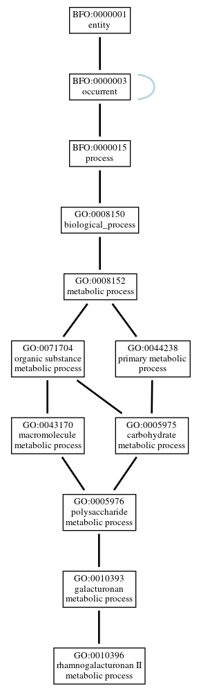 Graph of GO:0010396