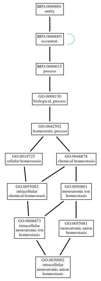 Graph of GO:0030002