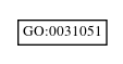Graph of GO:0031051