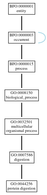 Graph of GO:0044256