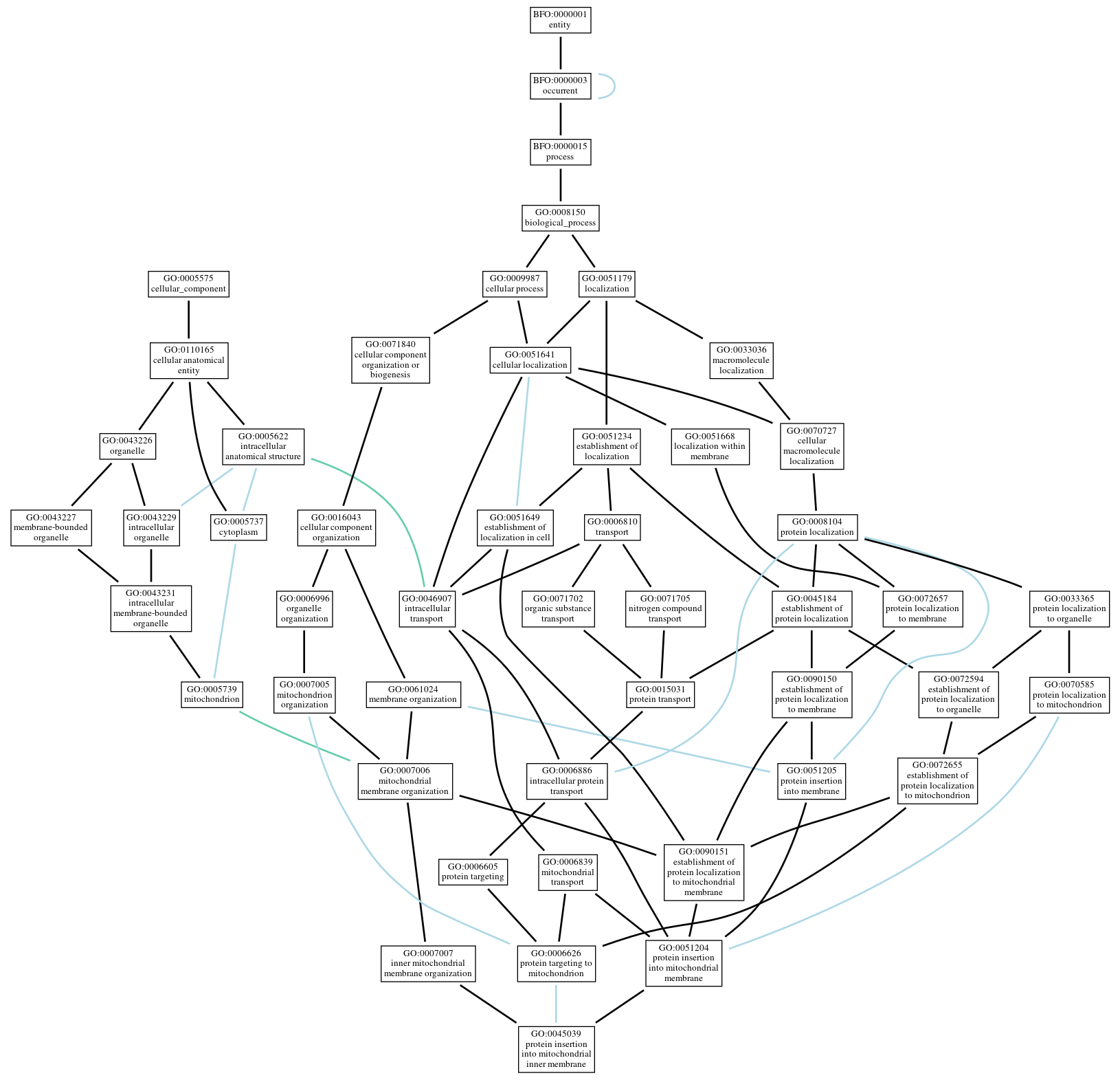 Graph of GO:0045039