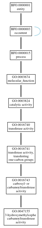 Graph of GO:0047155