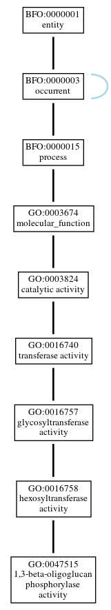 Graph of GO:0047515
