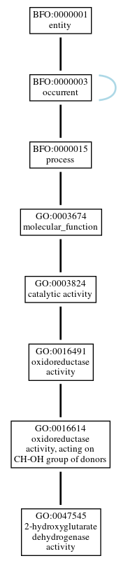 Graph of GO:0047545