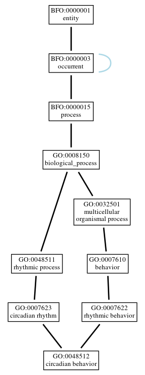 Graph of GO:0048512