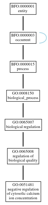 Graph of GO:0051481