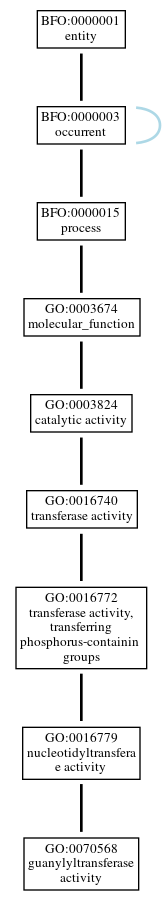 Graph of GO:0070568