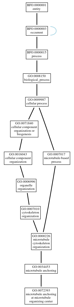 Graph of GO:0072393