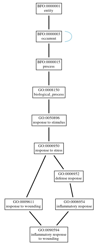 Graph of GO:0090594