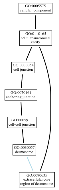 Graph of GO:0090635