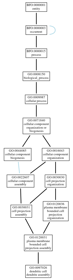 Graph of GO:0097026