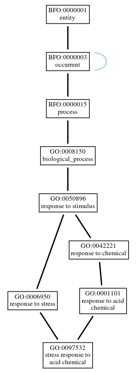 Graph of GO:0097532