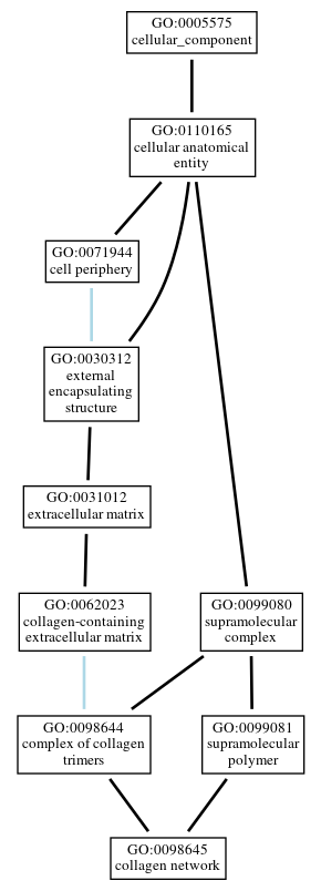 Graph of GO:0098645