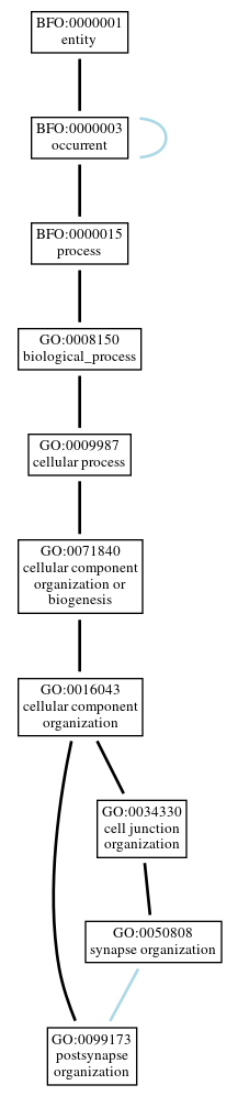 Graph of GO:0099173