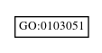 Graph of GO:0103051