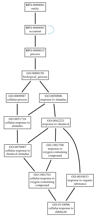 Graph of GO:0110096