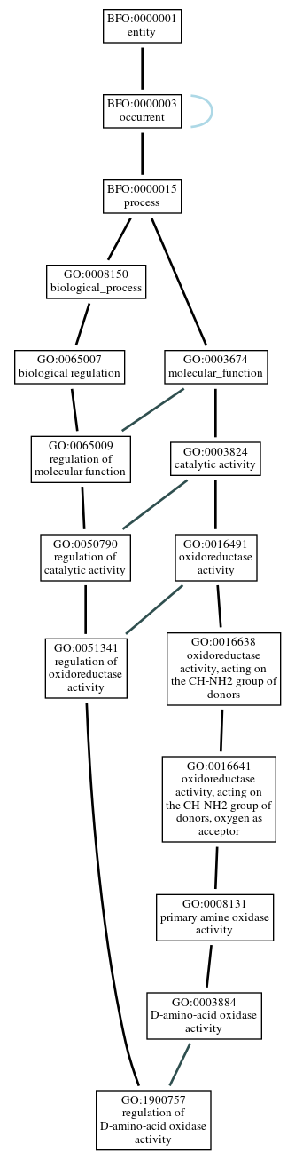 Graph of GO:1900757