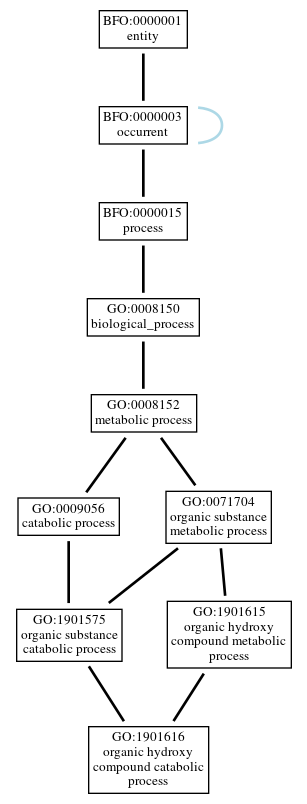 Graph of GO:1901616