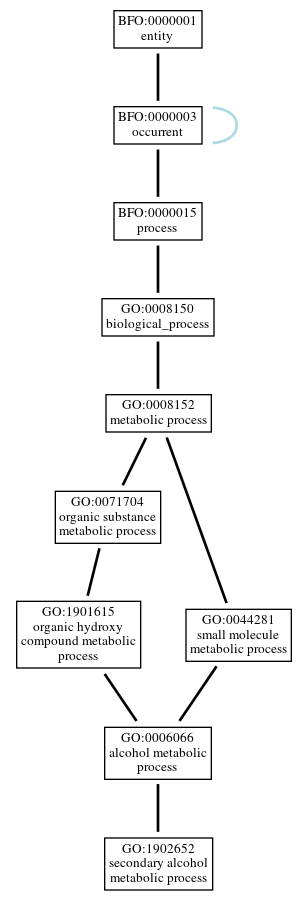 Graph of GO:1902652