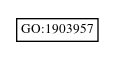 Graph of GO:1903957