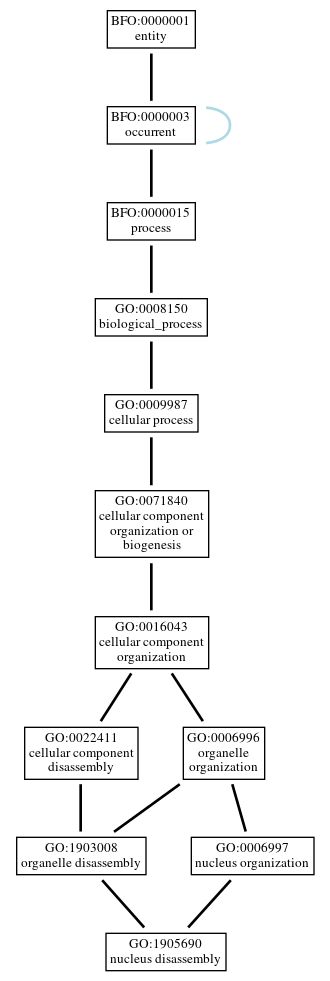 Graph of GO:1905690