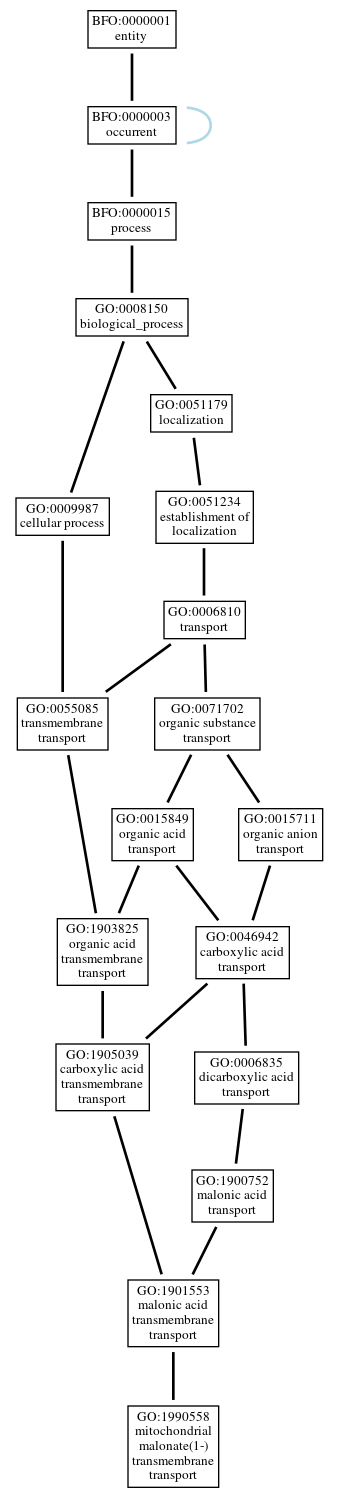 Graph of GO:1990558
